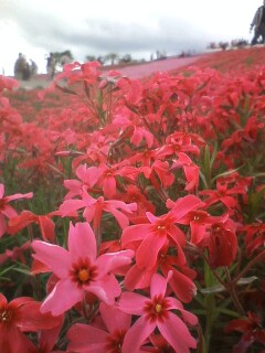 ���ɒ[�Ȃ�Ă���Ȃ�