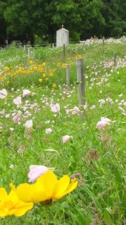 ���g���ȁ[��