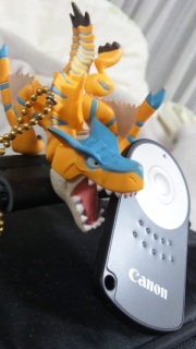 ������Ƃ���Ƃ남�炠