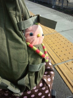 ���b�t�[�I�I