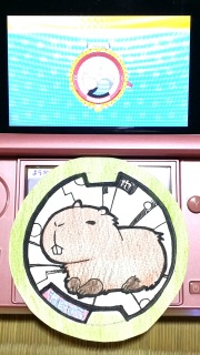 �E�H�b�`�b�`